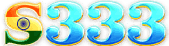 S333
